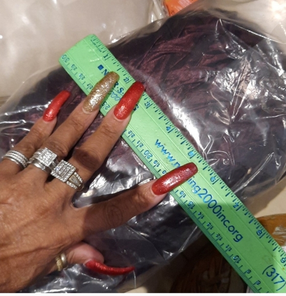 LOT OF TWO AUTHENTIC BOMBAY & CO ELEGANT BERRY Accent Pillows - Picture 2 of 4